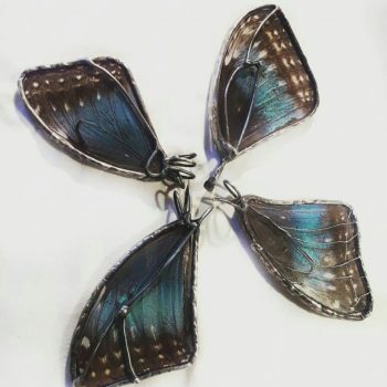 56-Justart Dulemba Szkło Witraże Rękodzieło Zwierzęta Fauna (55) Justart Dulemba Szklo Witraze Rekodzielo Zwierzeta Fauna