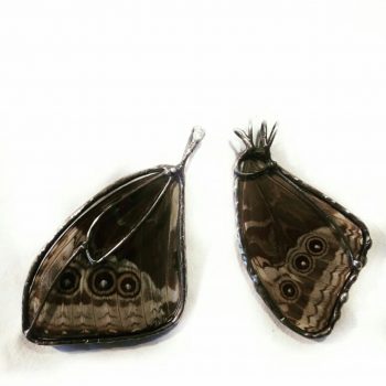 57-Justart Dulemba Szkło Witraże Rękodzieło Zwierzęta Fauna (56) Justart Dulemba Szklo Witraze Rekodzielo Zwierzeta Fauna