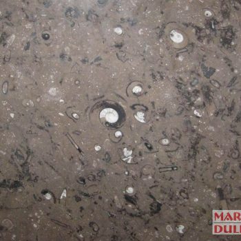 Fossil Brown img marmur fossil brown