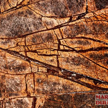 Rain Forest Gold img marmur rain forest gold