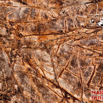 Rain Forest Gold img marmur rain forest gold